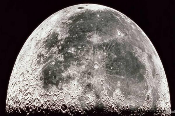 Luna Luna