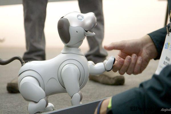 Sony Aibo