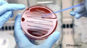 Argentina en alerta por una bacteria letal que acecha a la población 1 bacteria