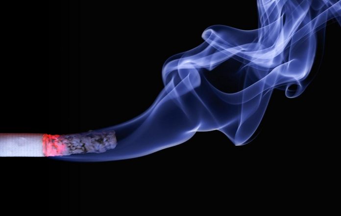 cigar-cigarette-smoke-macro-70088