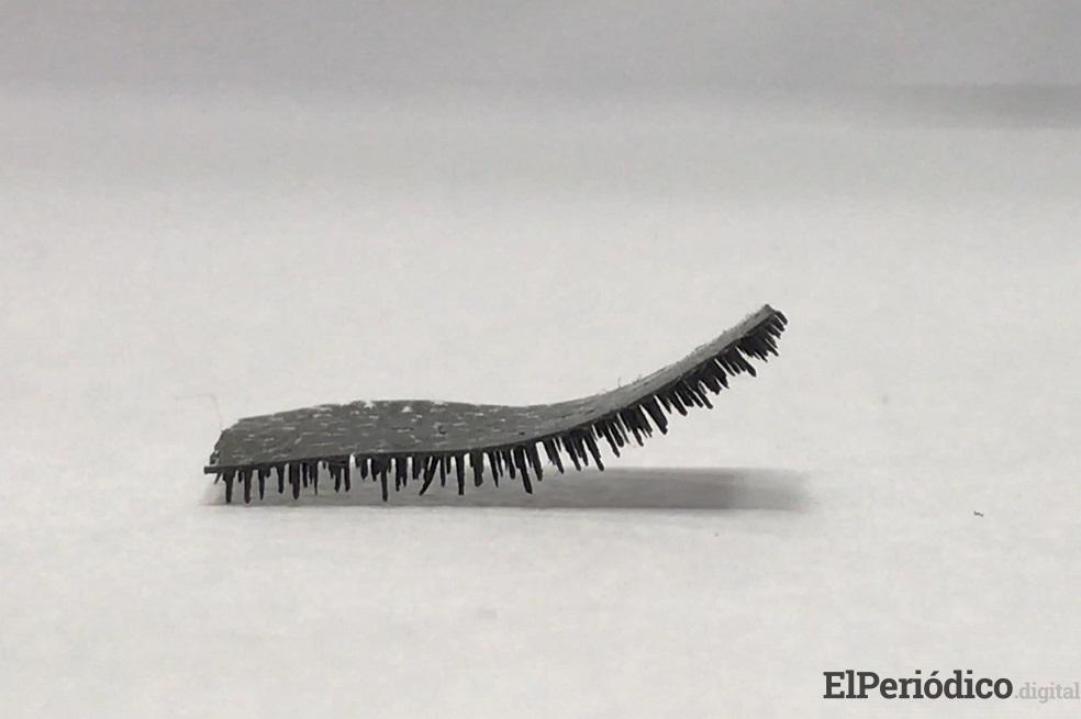 Crean un robot capaz de enviar medicamentos al interior del cuerpo humano robot