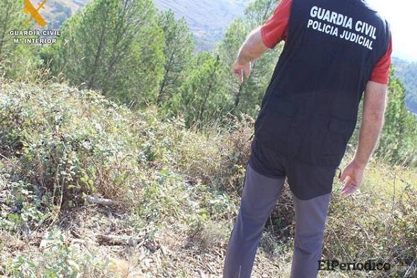 Turista francesa asesina a su amiga en parque de Zaragoza 1 Asesinato