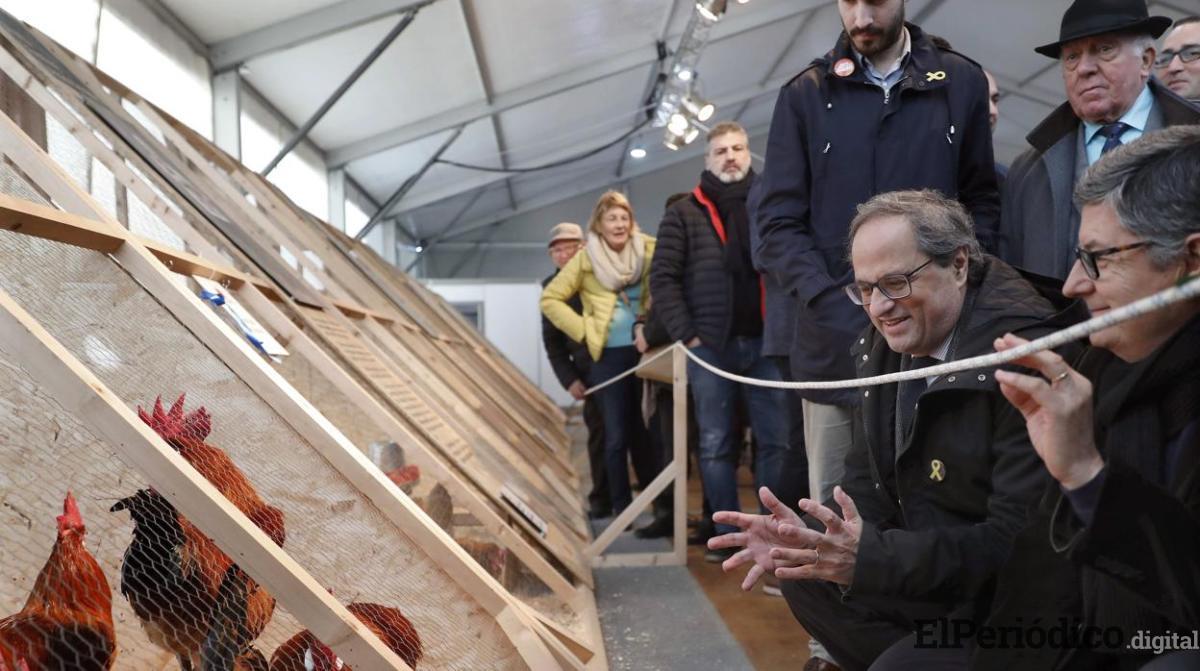 torra-presidente-generalitat-kWxD--1248x698@abc