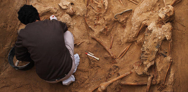 Trabajo arqueológico en la fosa de Puerto Real (Cádiz). / JUAN MIGUEL BAQUERO