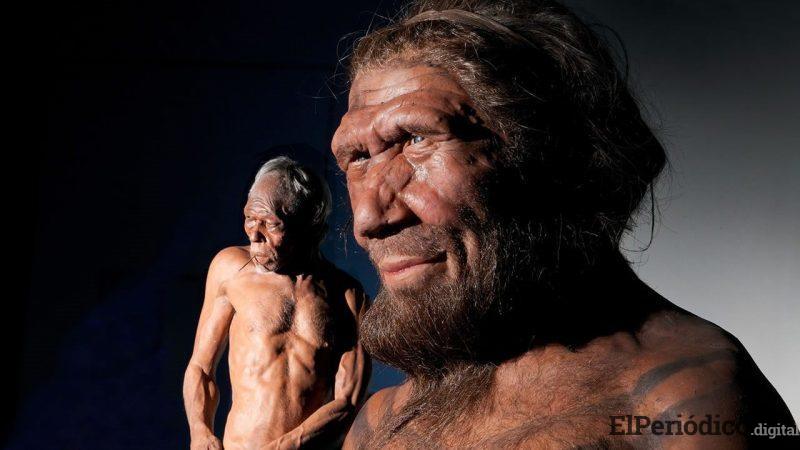 Humanos humanos