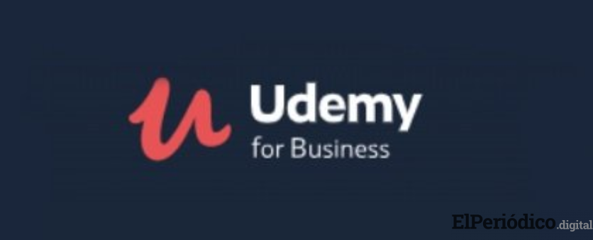 Udemy for Business