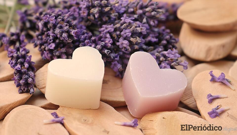 lavender-2443210_960_720