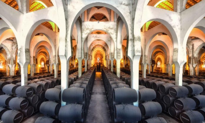 Bodega La Mezquita. Bodegas Fundador