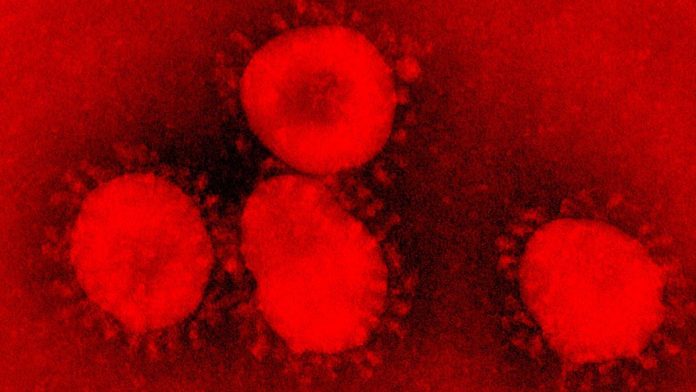 coronavirus coronavirus
