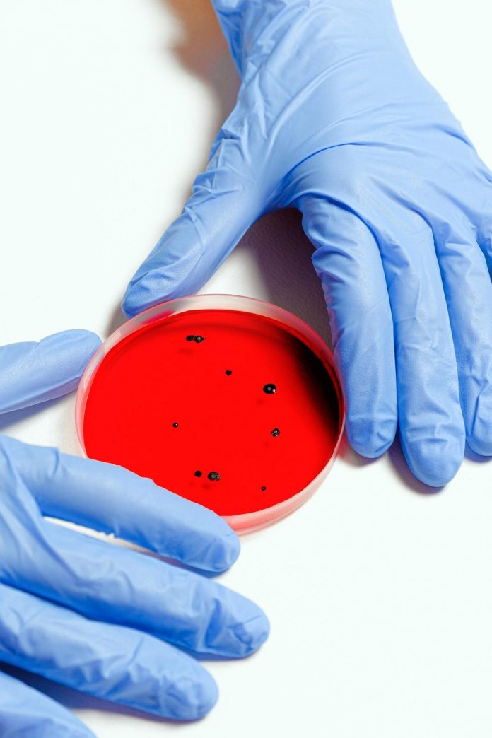 scientist-holding-petri-dish-3786247 (1)