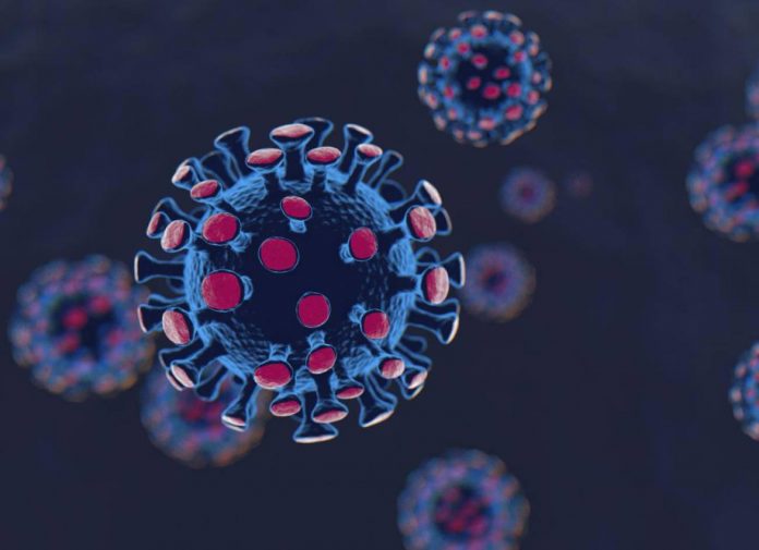 coronavirus coronavirus