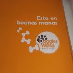 Doggies World abre sus puertas en Las Lagunas, Mijas 5