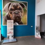 Doggies World abre sus puertas en Las Lagunas, Mijas 2