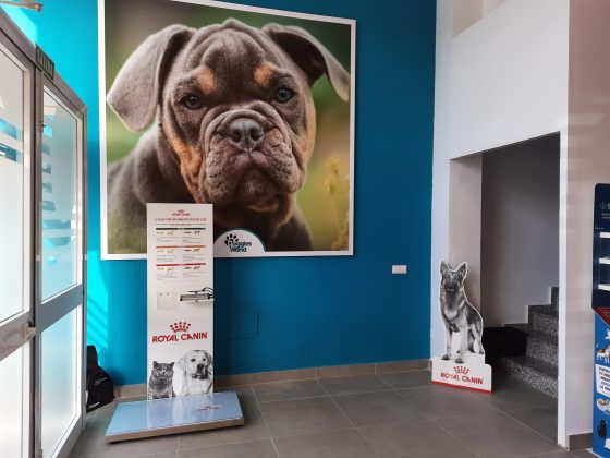 Doggies World abre sus puertas en Las Lagunas, Mijas 2