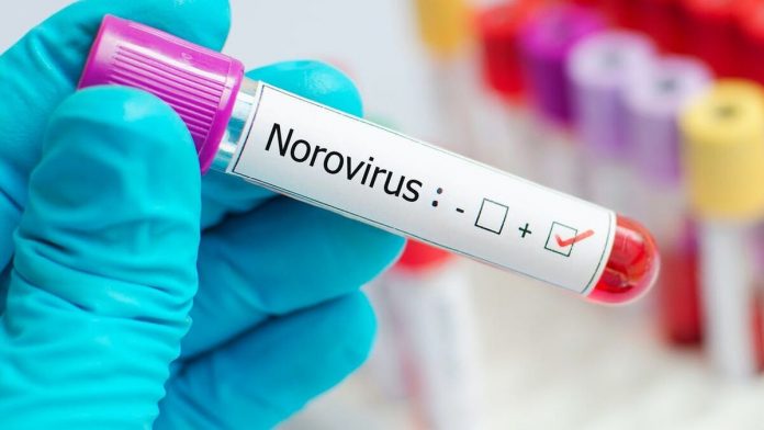 Norovirus