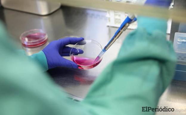 La cepa sudafricana del coronavirus ya se encuentra en España