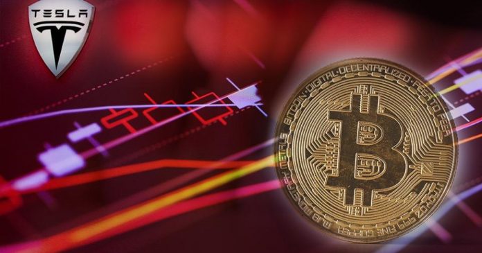Tesla una de las empresas ganadora de más dinero invirtiendo en bitcoin