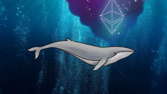 ballenas-crypto-ethereum