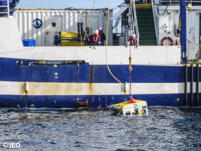 un-barco-con-sonar-y-un-robot-llegara-a-finales-de-semana-para-ayudar-a-buscar-a-las-ninas-desaparecidas-en-tenerife.jpeg