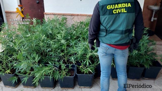 alijo marihuana confiscado en la operación ZUREK | Foto Guardía Civil