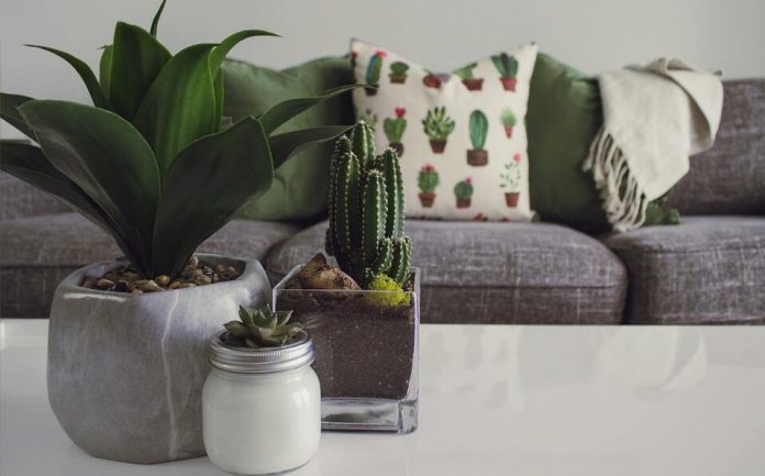 decoracion-hot-sale-ofertas-productos