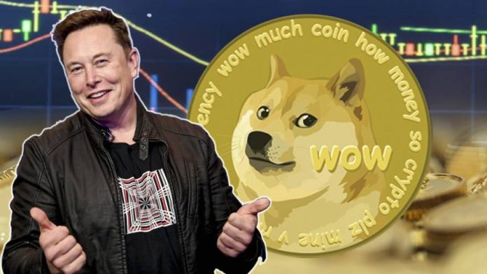 elon