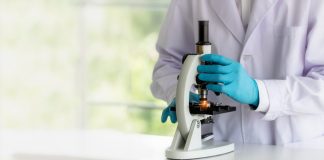 microscopio