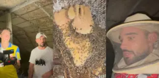IlloJuan y Plex se enfrentan a un momento de tensión cuando Frank Cuesta saca miel de un panel de abejas