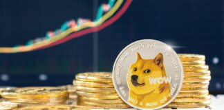 Dogecoin Aumenta 12% Tras Elon Musk Compartir Planes Sobre D.O.G.E. en Mitin de Trump