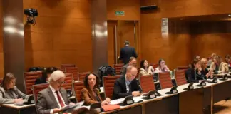 El Senado pide "atención temprana universal" y una estrategia para la atención del daño cerebral adquirido