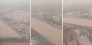 La impresionante imagen aérea del nuevo cauce del Turia que muestra cómo ha protegido a la ciudad