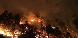 Un incendio obliga a evacuar a unas 200 personas en El Paso (La Palma)