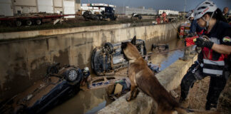 La búsqueda de desaparecidos con los perros Unah y Yagas: "A estas alturas, encontrar supervivientes es imposible"