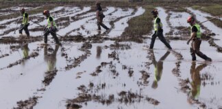Última Hora de la Dana: la Aemet activa un aviso "amarillo" en Mallorca ante previsión de fuertes lluvias