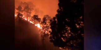 Un incendio en El Paso, en La Palma, obliga a evacuar a 200 personas en medio de una alerta forestal en Canarias