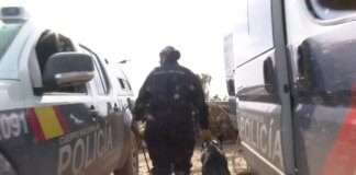 Así buscan los perros policía a los desaparecidos por la DANA