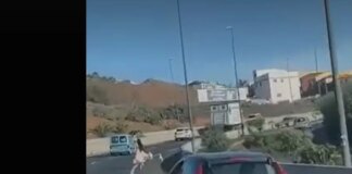 Para su coche en medio de una autovía para perseguir a un pato