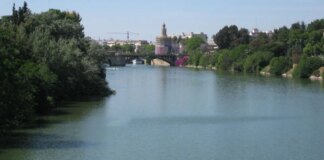 Un hombre se tira al Guadalquivir para evitar ser detenido y acaba pidiendo ayuda a los agentes