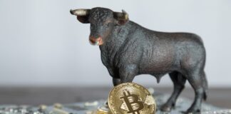 Victoria de Trump Lleva a Bitcoin a Nuevas Alturas: ¡BTC Supera los $90.000!