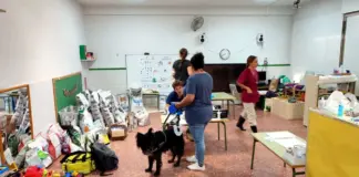 Un colegio público se convierte en hospital de campaña para mascotas de damnificados por la DANA