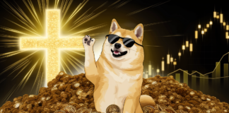 Memecoins PNUT y FRED Se Disparan Impulsadas Por el Rally de Dogecoin