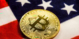 ETFs de Bitcoin Experimentan Importante Salida Ante Incertidumbre Electoral en EEUU