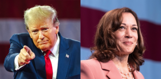 Memecoins de Trump y Harris Suben Dos Digitos Mientras EE.UU. se Prepara para las Elecciones