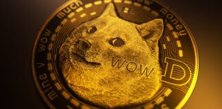 Dogecoin Se Dispara Mientras Elon Musk Sigue Apoyando a Trump