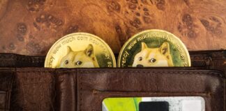 ¿Se Vienen ETFs de Dogecoin? Expertos No lo Ven Tan Descabellado