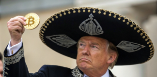 Elección de Trump Impulsa Adopción de Criptomonedas en América Latina: Expertos