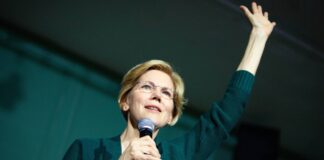 Elizabeth Warren Asegura su Cuarto Mandato como Senadora de Massachusetts