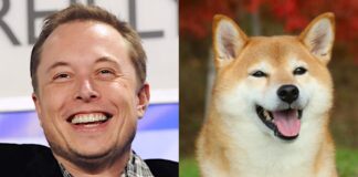 Elon Musk y Dogecoin: Cómo el Multimillonario se Convirtió en el 'Dogefather'