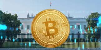 Volatilidad de Bitcoin Se Dispara Ante la Incertidumbre de las Elecciones en EEUU