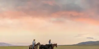 ¿Qué es el turismo cowboy? Los mejores destinos para montar a caballo y alojarse en ranchos